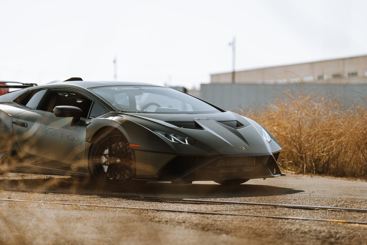 Dog Belt Newport Beach Automotive Group Boutique