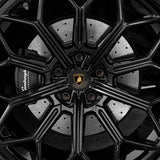 Lamborghini Carbon Fiber Center Caps Kit
