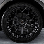 Lamborghini Carbon Fiber Center Caps Kit