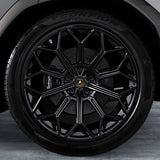 Lamborghini Carbon Fiber Center Caps Kit
