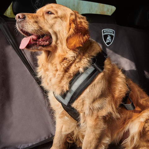 Pet Seat Protection