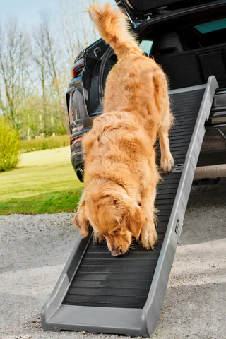 Lamborghini - Urus Pet Ramp