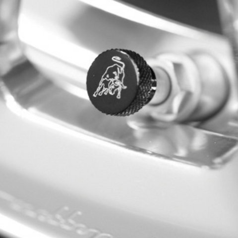 Valve Caps With Logo Kit